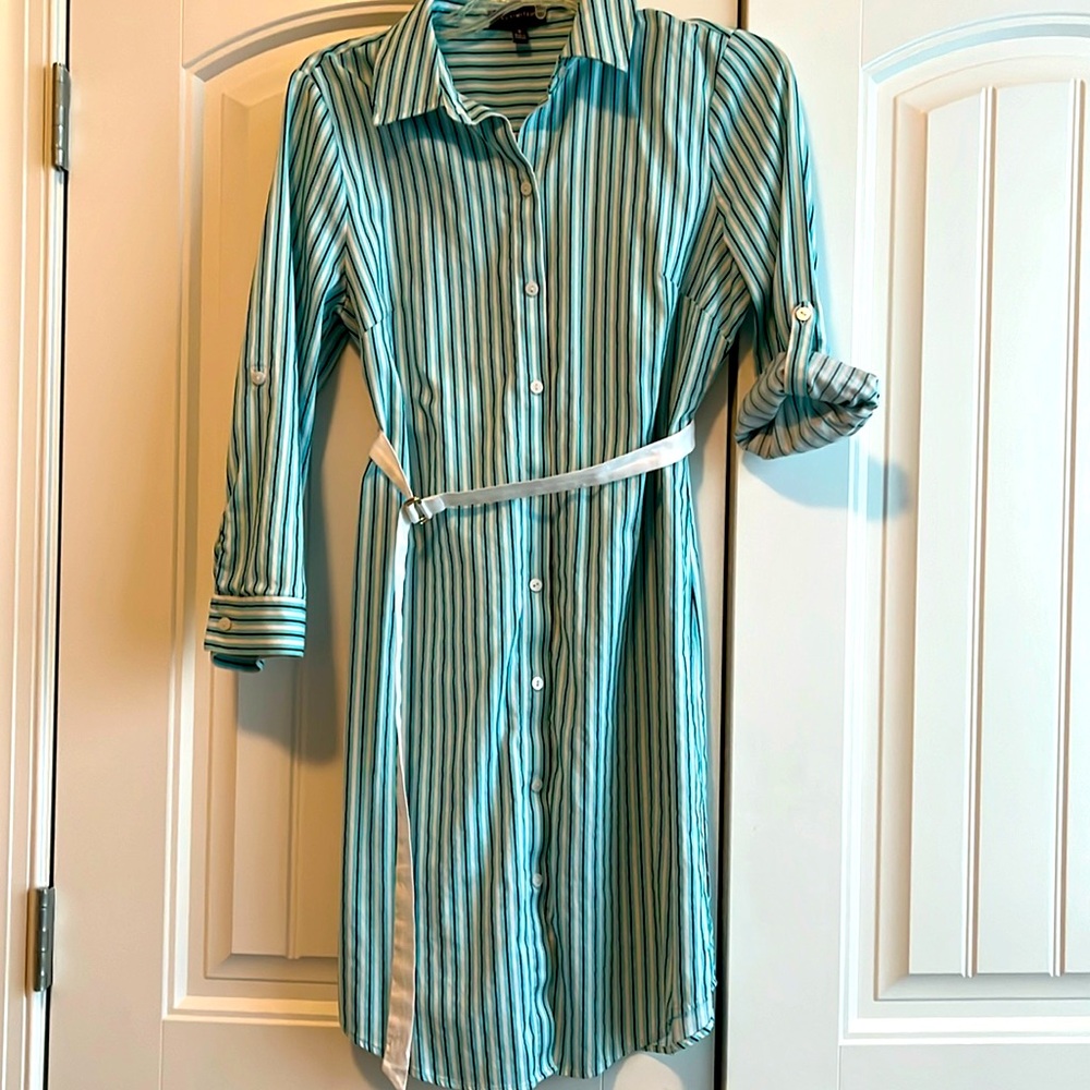 Closet Clearout!🎉The Limited dress size 8. 90% off retail. Final price